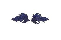 Wings of Curse
