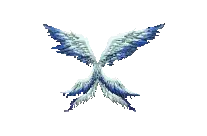 Wings of Space Time