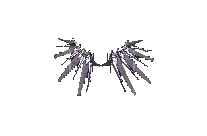 Wings of Hurricane